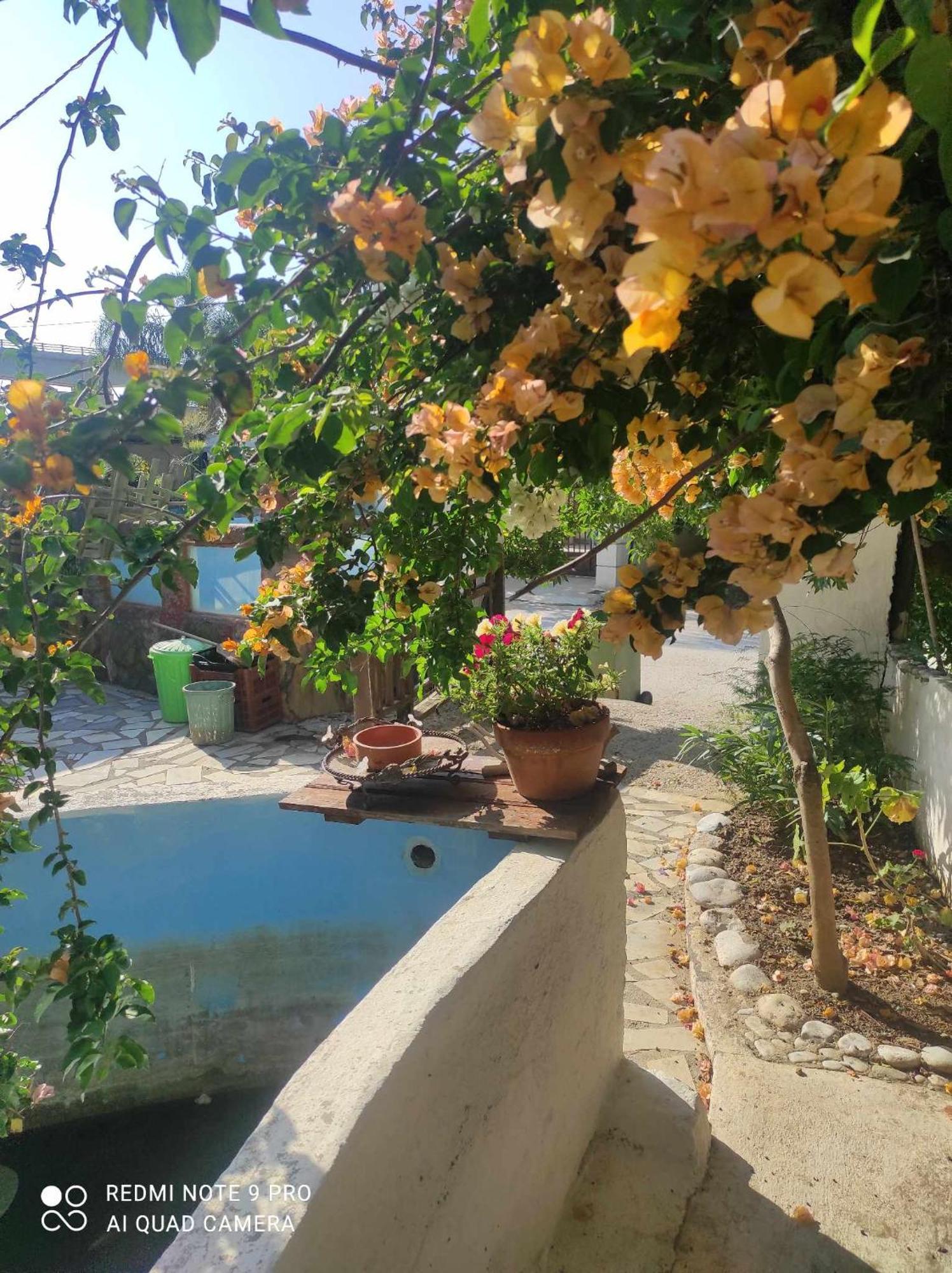 Gabriellas Garden Palaiokastro (Crete) Exterior foto